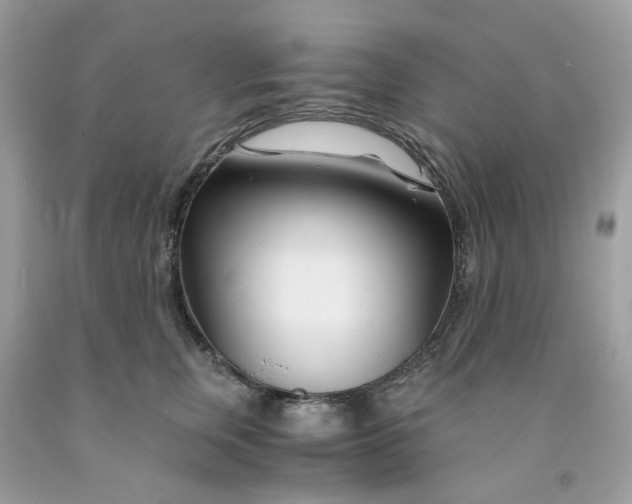 X0000091450759200709061735