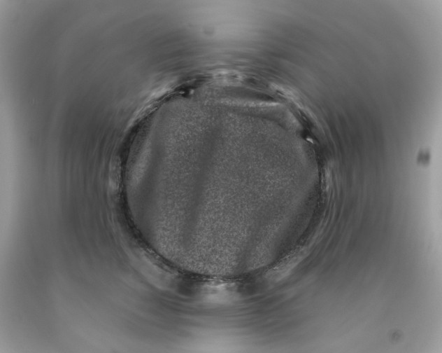 X0000091450760200709061735