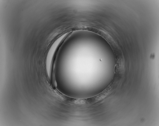 X0000091450762200709061735