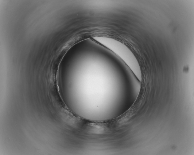 X0000091450763200709061735