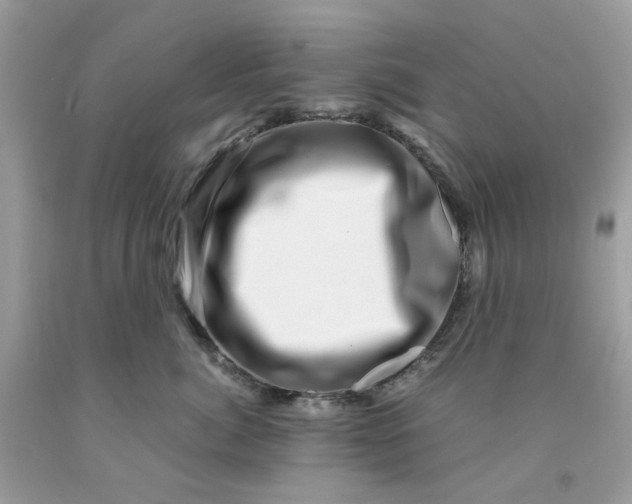 X0000091450764200709061735