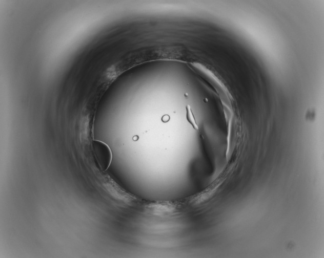 X0000091450765200709061735