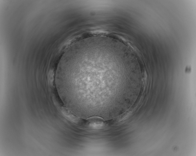 X0000091450767200709061735