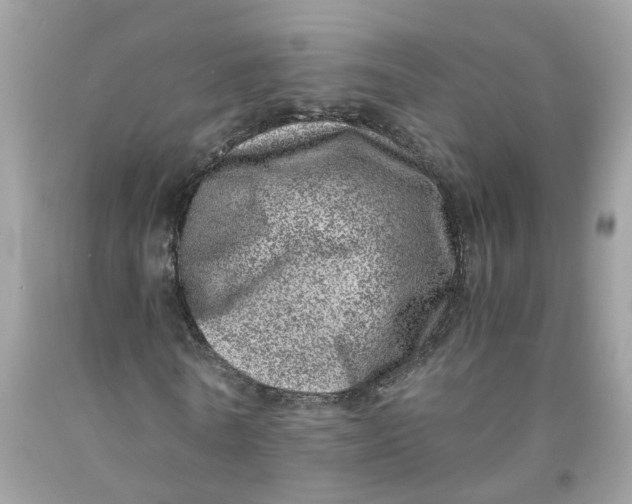 X0000091450770200709061734