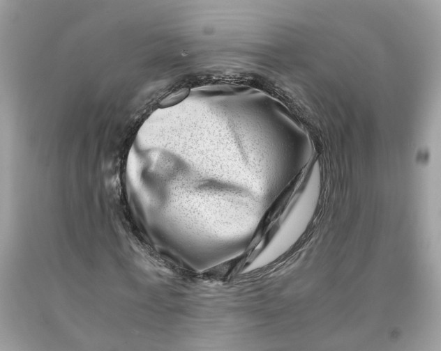 X0000091450771200709061734