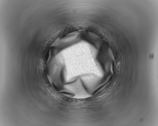 X0000091450772200709061734