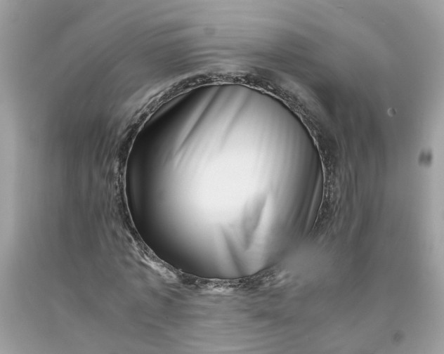 X0000091450773200709061734