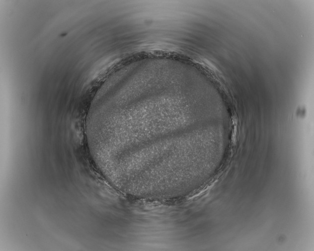 X0000091450774200709061734