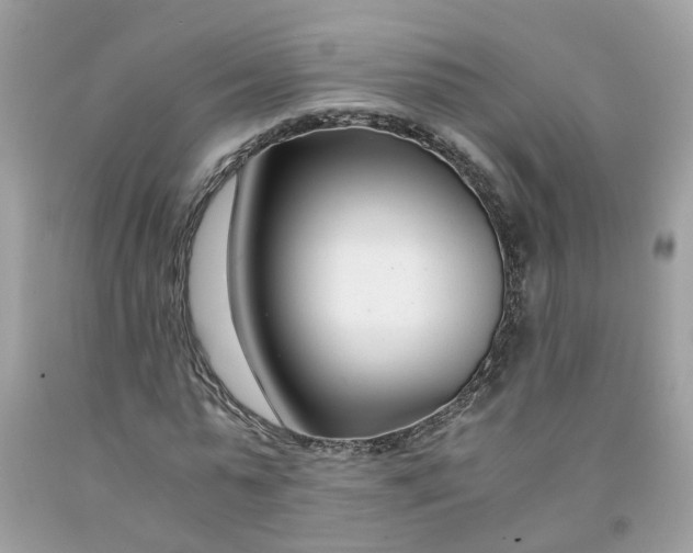 X0000091450775200709061734