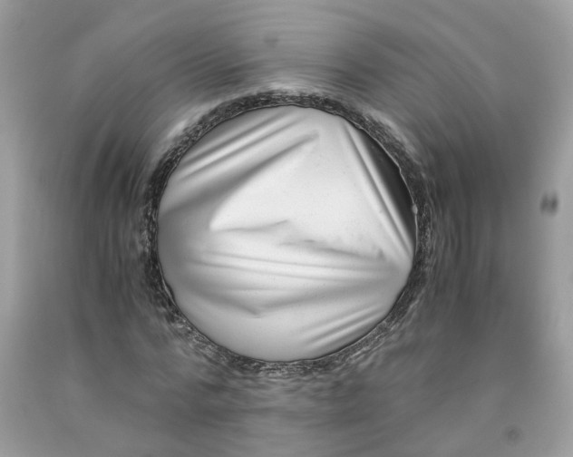 X0000091450776200709061734