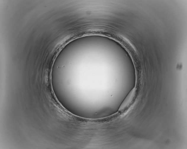 X0000091450777200709061734