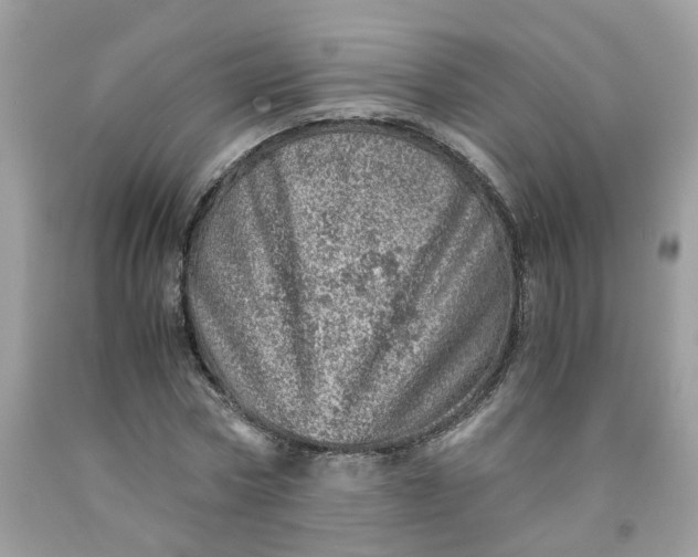 X0000091450778200709061734