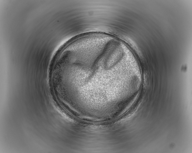 X0000091450780200709061734