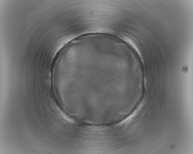 X0000091450781200709061734