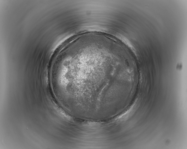 X0000091450782200709061734