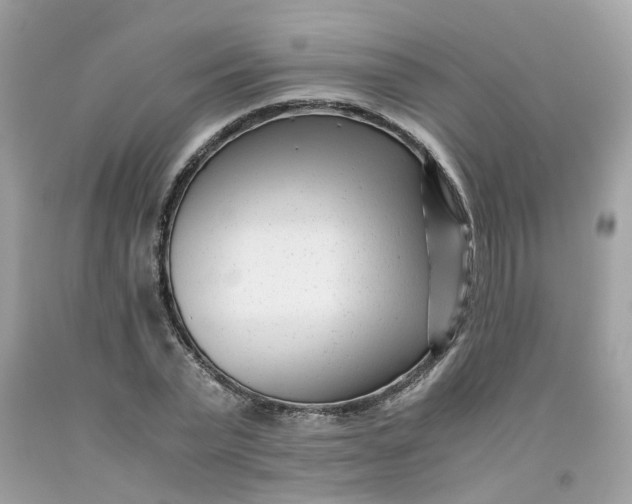 X0000091450783200709061734