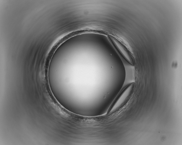 X0000091450784200709061734