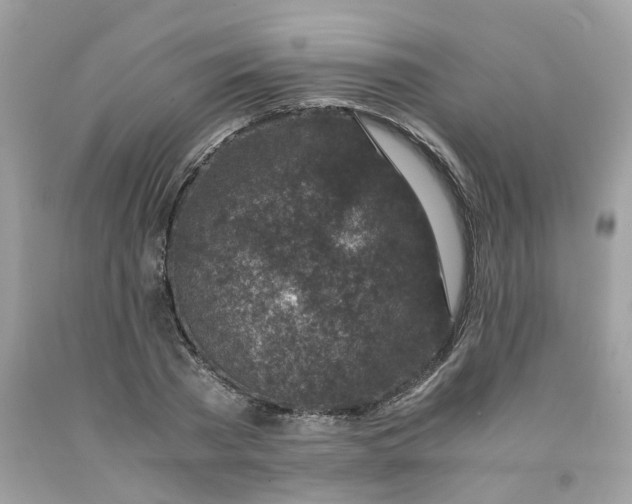 X0000091450785200709061734