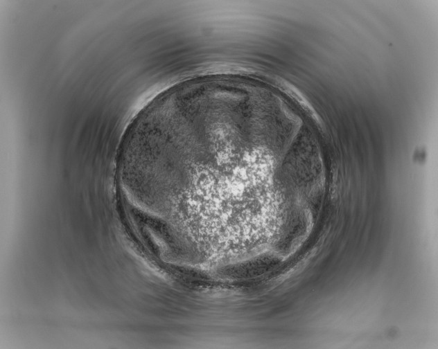 X0000091450786200709061734