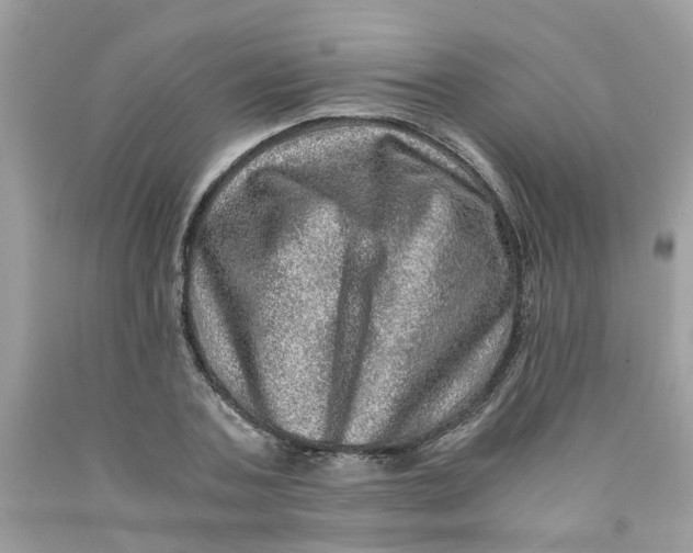 X0000091450787200709061734