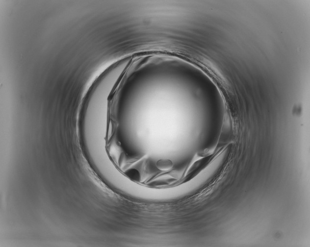 X0000091450788200709061734