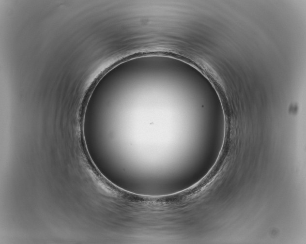 X0000091450789200709061734