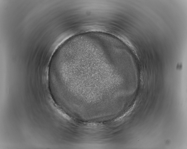 X0000091450790200709061734