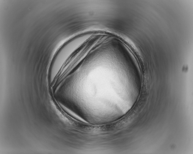 X0000091450791200709061734