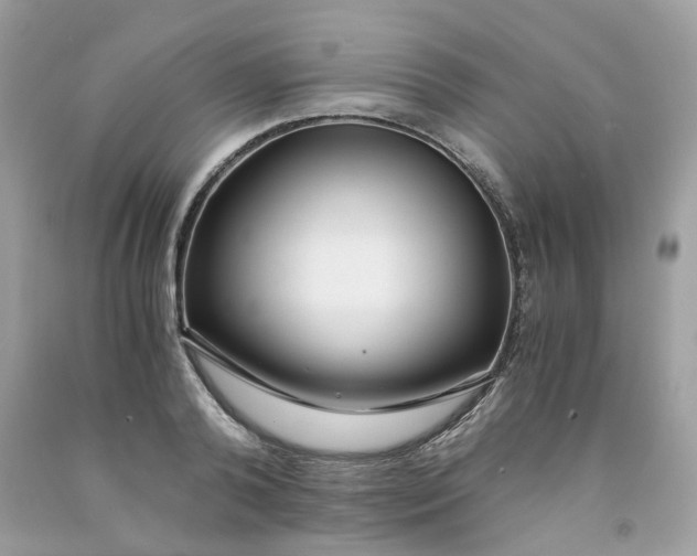 X0000091450792200709061734