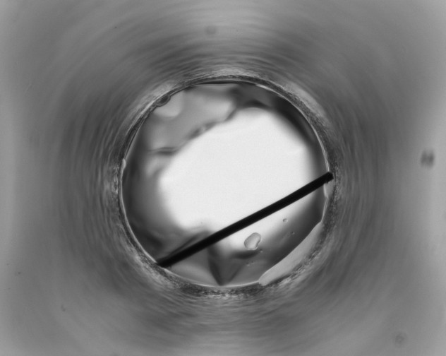 X0000091450793200709061734