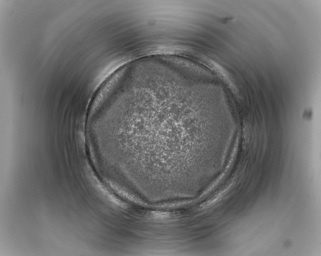 X0000091450794200709061734