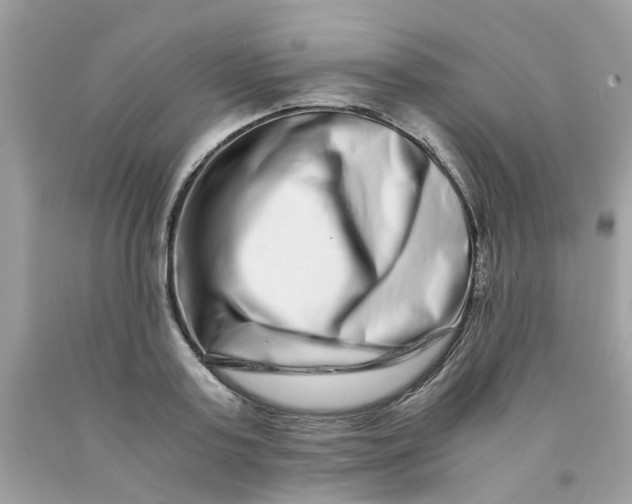 X0000091450795200709061734