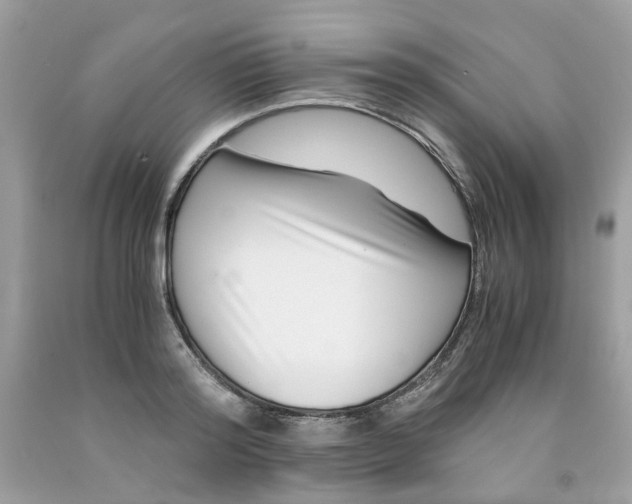 X0000091450796200709061734