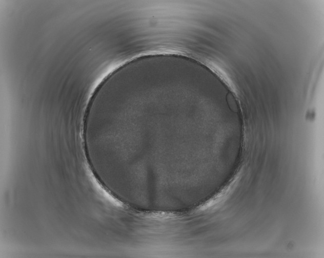 X0000091450797200709061734