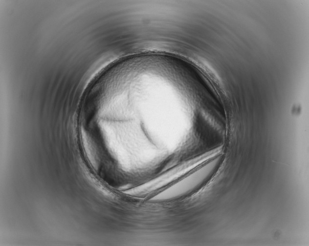 X0000091450798200709061734