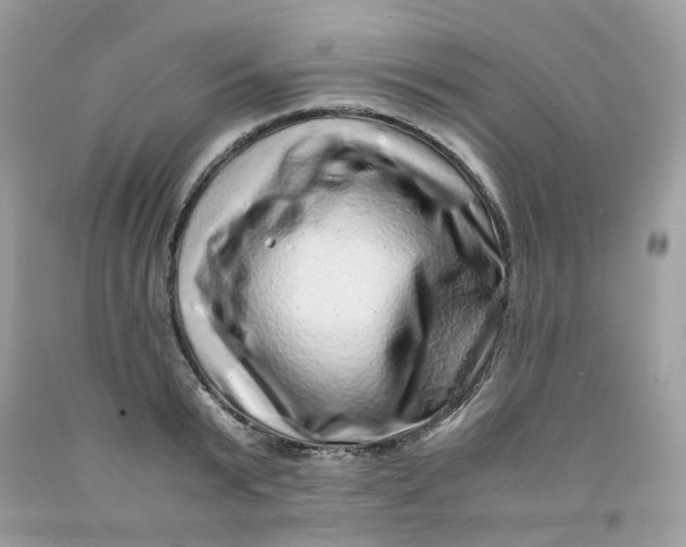 X0000091450799200709061734