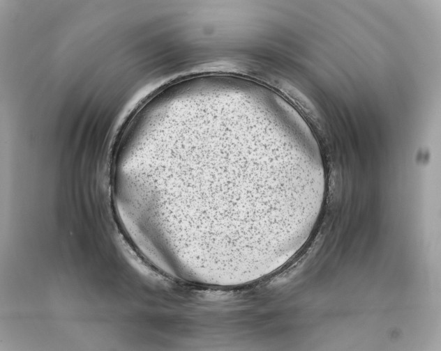 X0000091450800200709061734