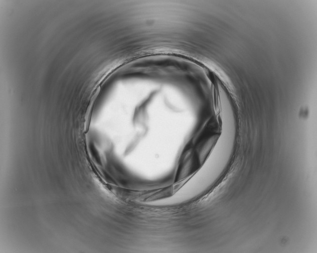 X0000091450801200709061734