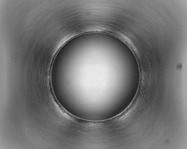 X0000091450802200709061734