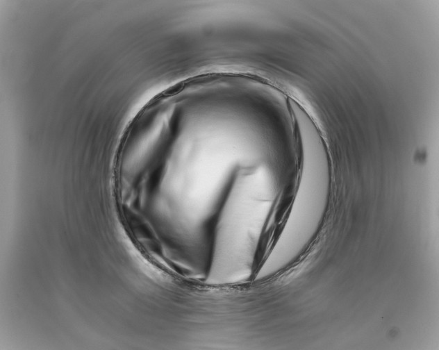 X0000091450803200709061734