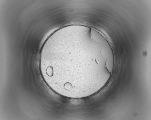 X0000091450804200709061734