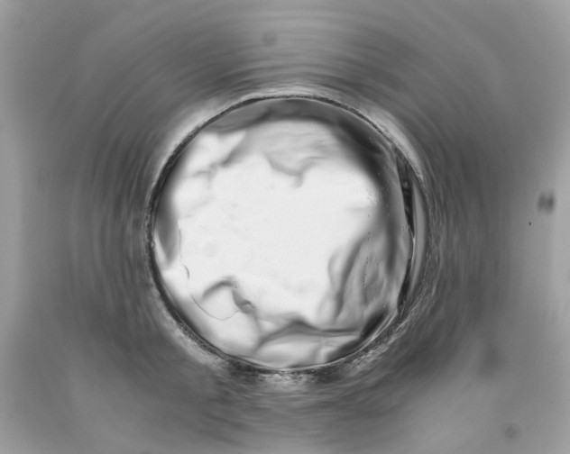 X0000091450805200709061734