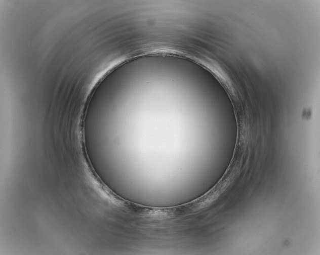 X0000091450806200709061734