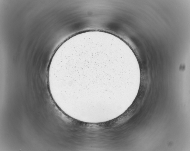 X0000091450807200709061734