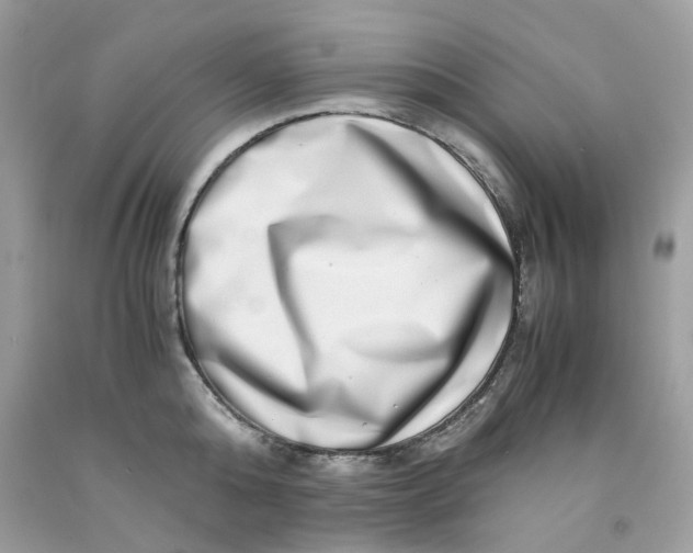 X0000091450808200709061734