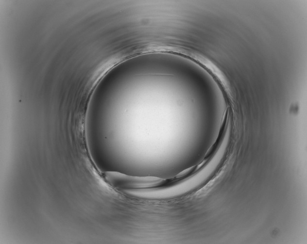 X0000091450809200709061734