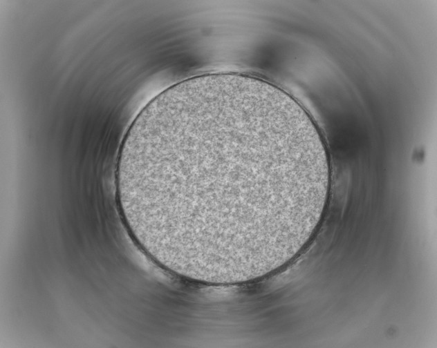 X0000091450810200709061734