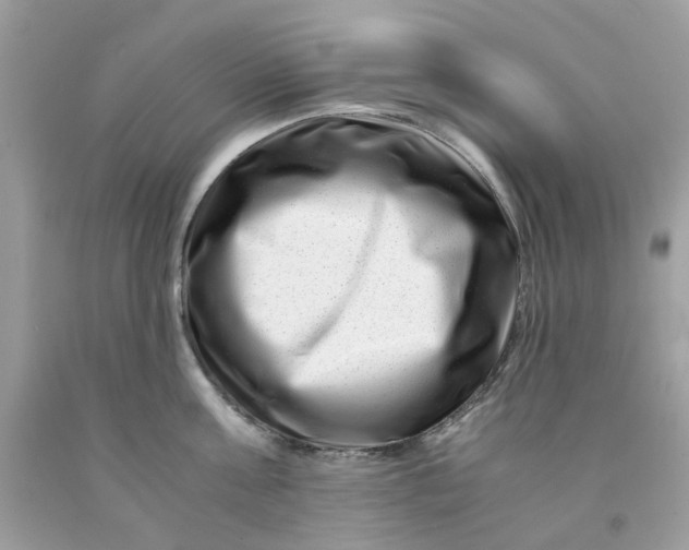 X0000091450811200709061734