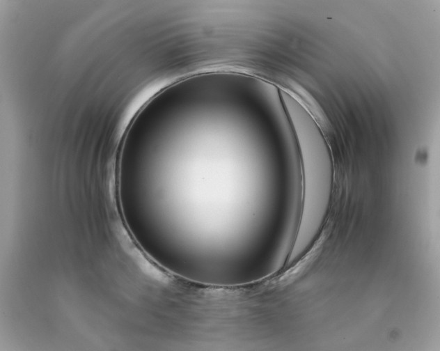 X0000091450812200709061734