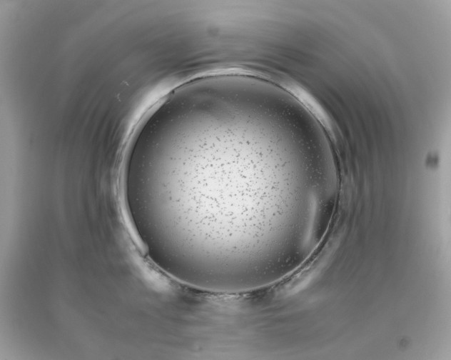 X0000091450813200709061733